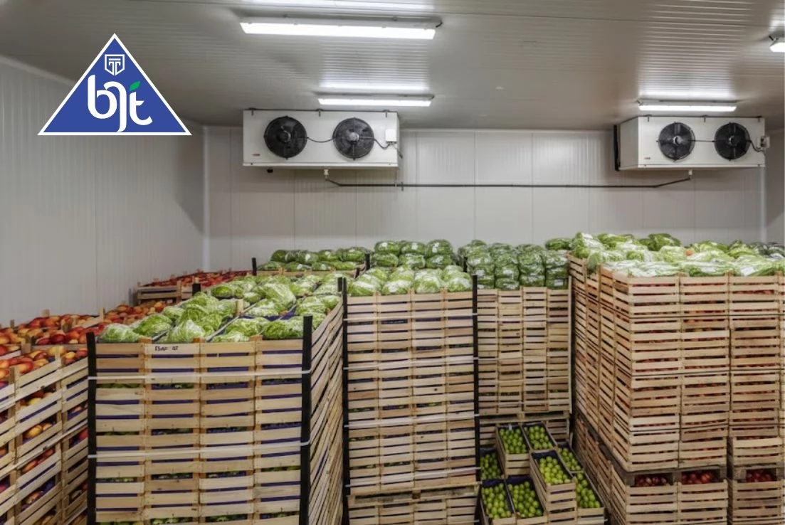 Coldroom BJT untuk Buah, Sayur, Daging, dan Produk Farmasi Anda